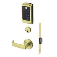 Yale nexTouch Mortise Lock Z-Wave Plus v2 Touchscreen Cylinder Override, Augusta Lever, Polished Brass